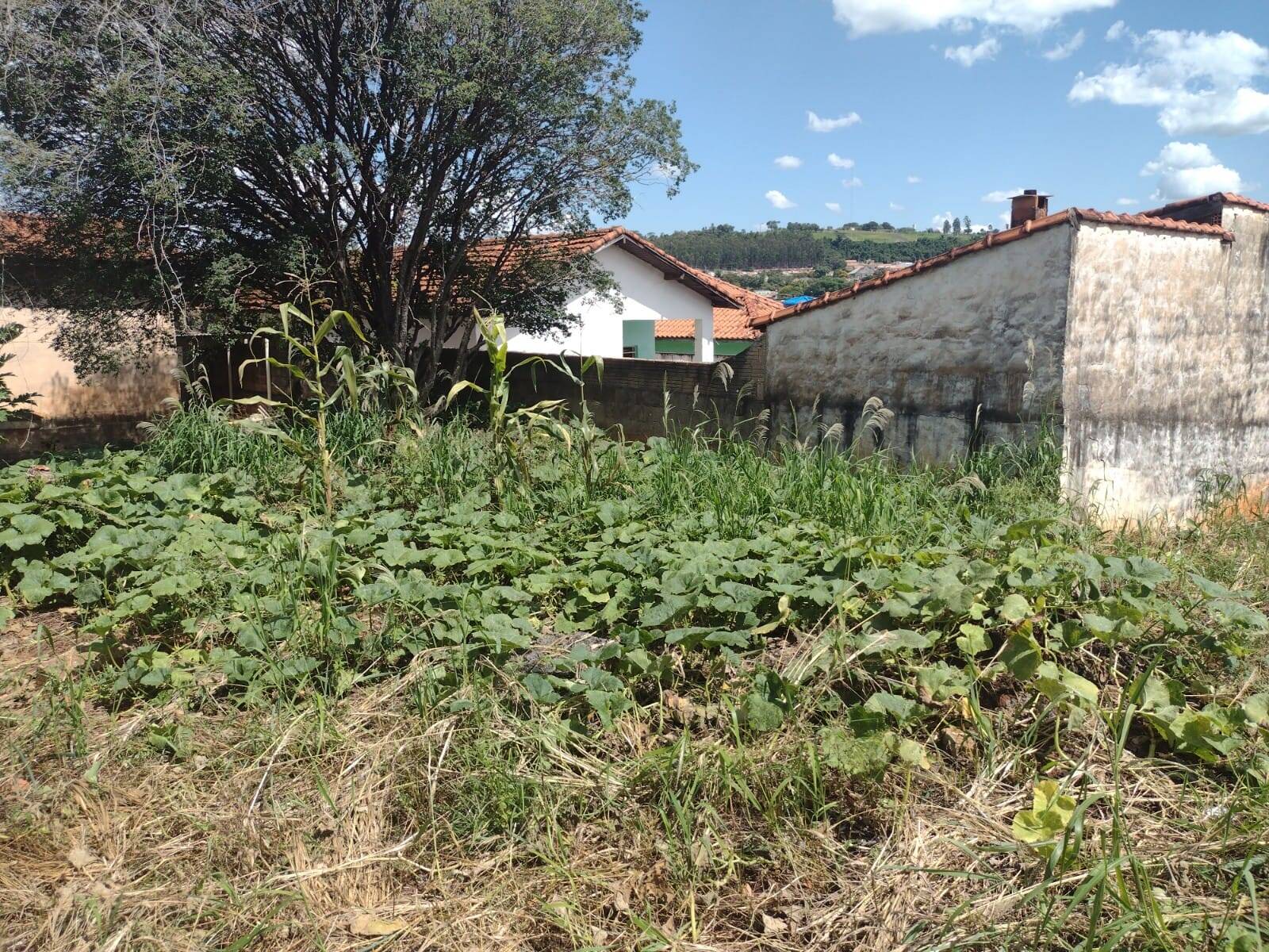 #302 - Casa para Venda em Piraju - SP