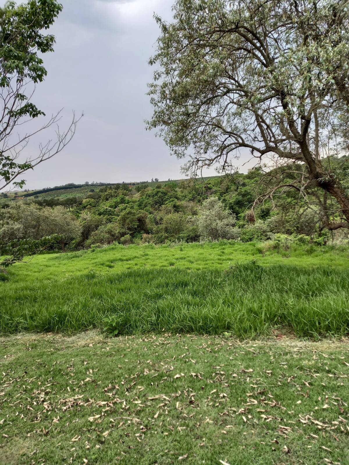 #316 - Área para Venda em Piraju - SP