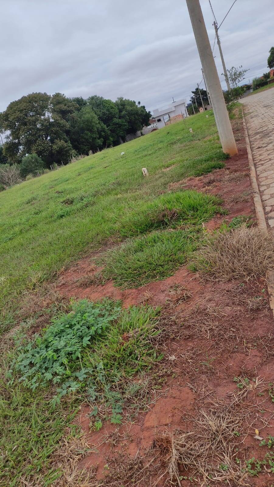 #361 - Área para Venda em Piraju - SP