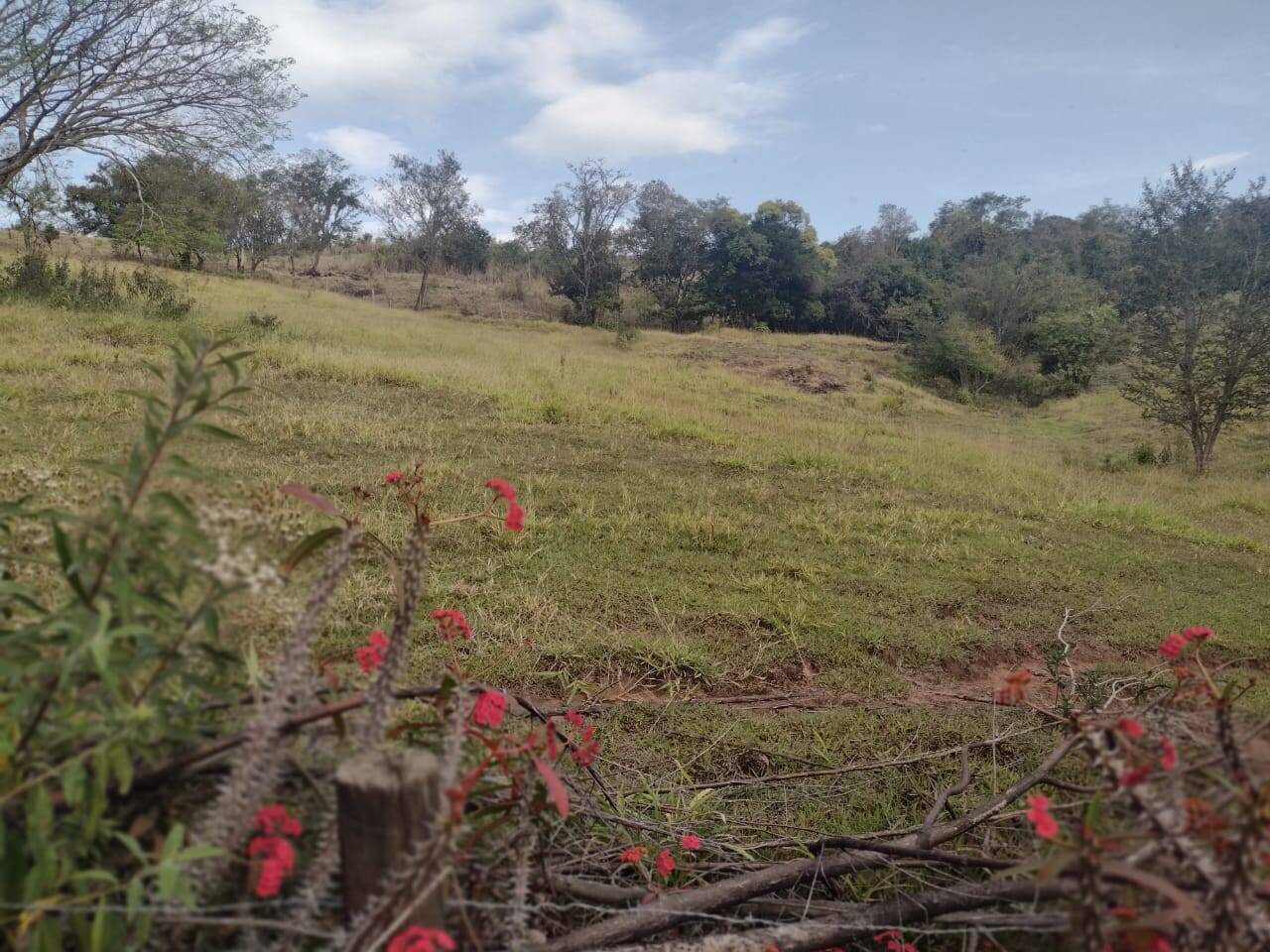 #373 - Sítio para Locação em Piraju - SP