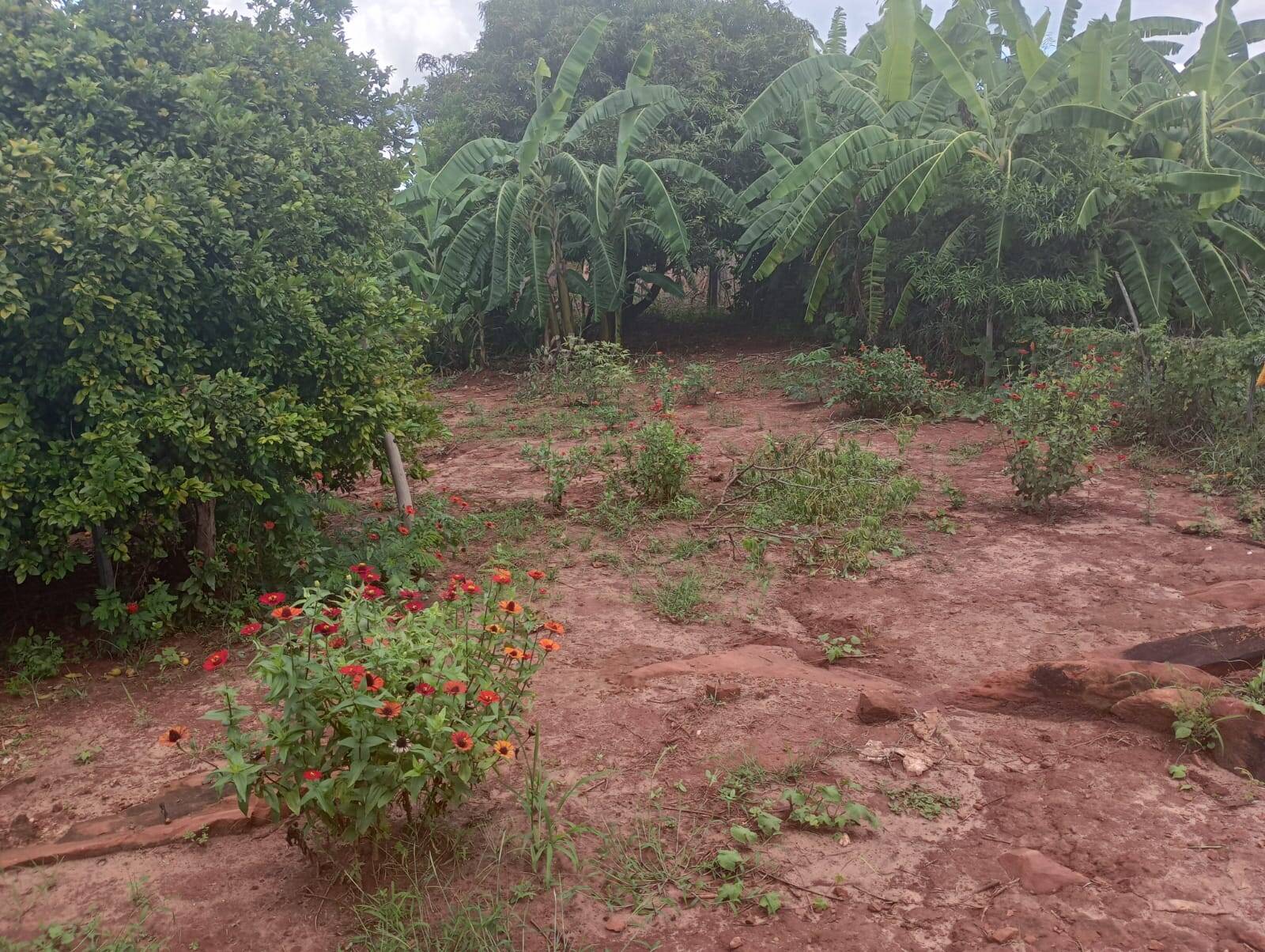 #380 - Área para Venda em Piraju - SP