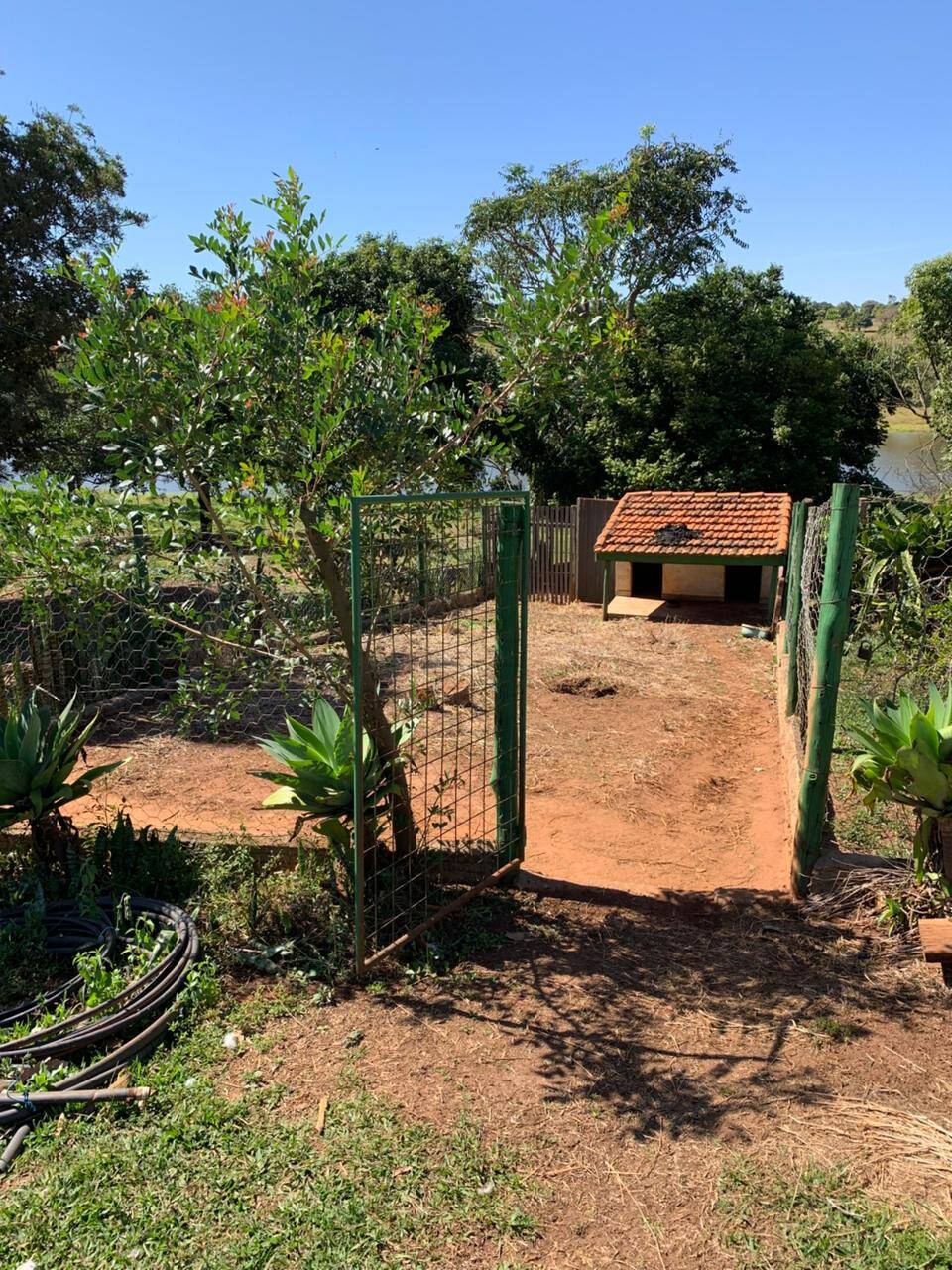 #388 - Chácara para Venda em Piraju - SP