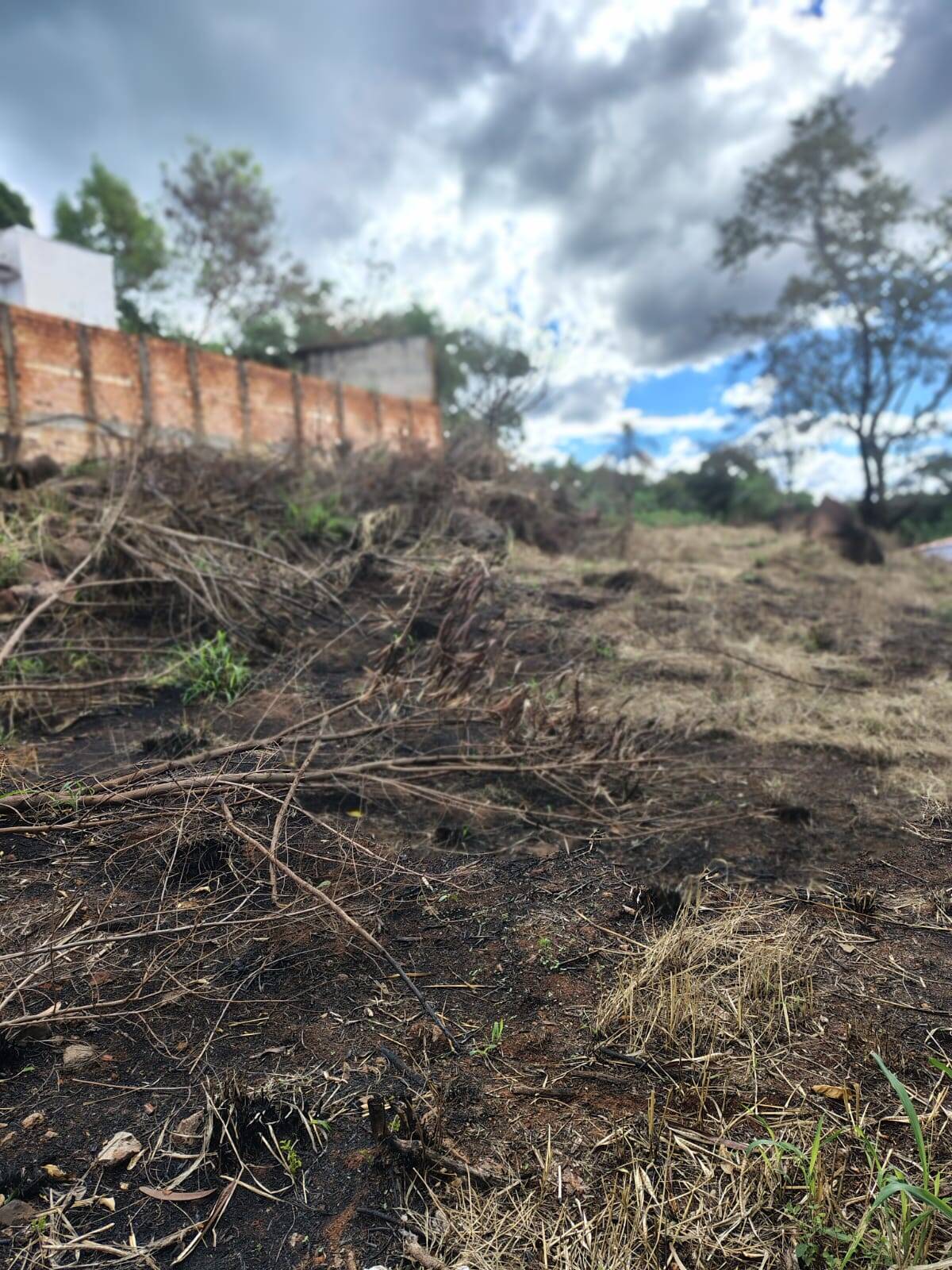 #392 - Área para Venda em Piraju - SP