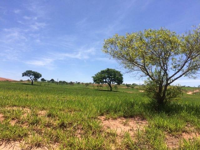 #278 - Área para Venda em Itaí - SP - 3