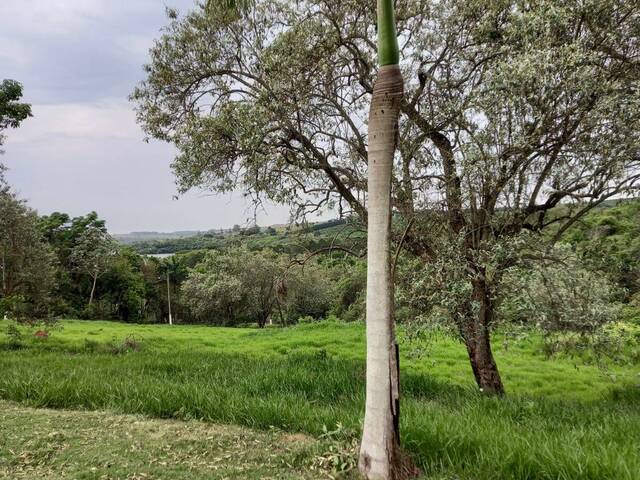 #316 - Área para Venda em Piraju - SP