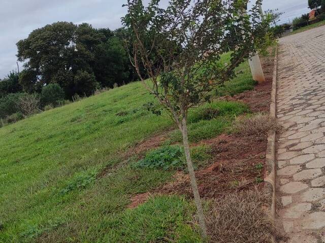 #361 - Área para Venda em Piraju - SP - 2
