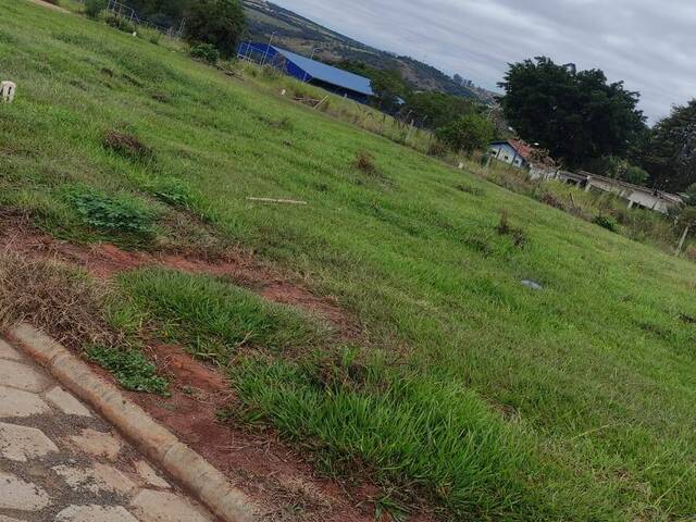 #361 - Área para Venda em Piraju - SP - 3
