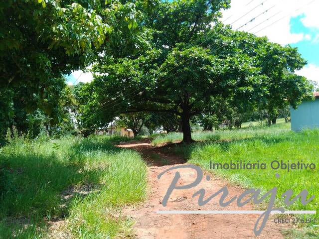 #366 - Chácara para Venda em Piraju - SP - 3
