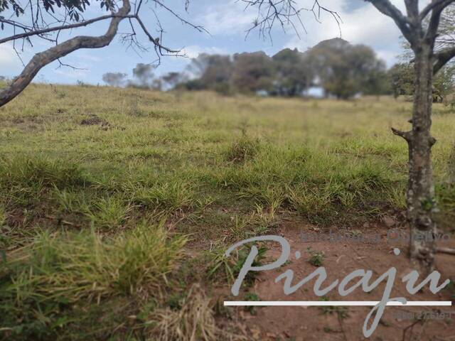 #373 - Sítio para Locação em Piraju - SP - 3
