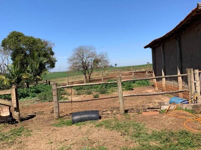 #388 - Chácara para Venda em Piraju - SP - 2