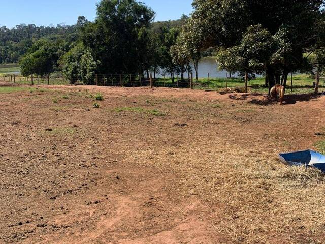 #388 - Chácara para Venda em Piraju - SP - 3