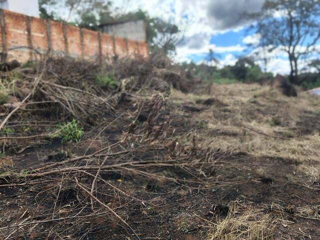 #392 - Área para Venda em Piraju - SP - 1