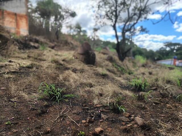 #392 - Área para Venda em Piraju - SP - 2