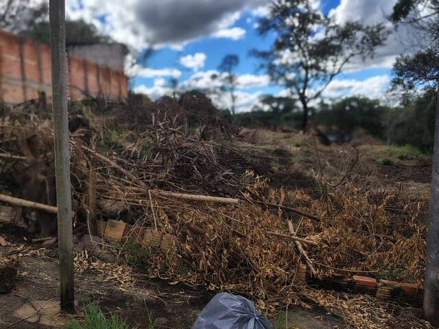 #392 - Área para Venda em Piraju - SP - 3