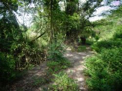 #164 - Terreno para Venda em Piraju - SP - 1